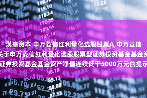 漢崋资本 申万菱信红利量化选股股票A,申万菱信红利量化选股股票C: 关于申万菱信红利量化选股股票型证券投资基金基金资产净值连续低于5000万元的提示性公告