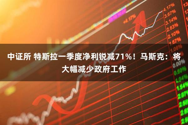 中证所 特斯拉一季度净利锐减71%！马斯克：将大幅减少政府工作