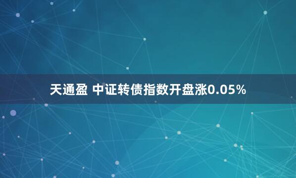 天通盈 中证转债指数开盘涨0.05%