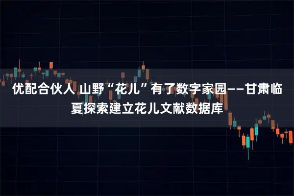 优配合伙人 山野“花儿”有了数字家园——甘肃临夏探索建立花儿文献数据库